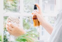 Homemade Window Cleaner Using Just One Ingredient