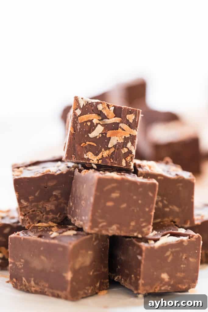 A stack of toasted coconut fudge