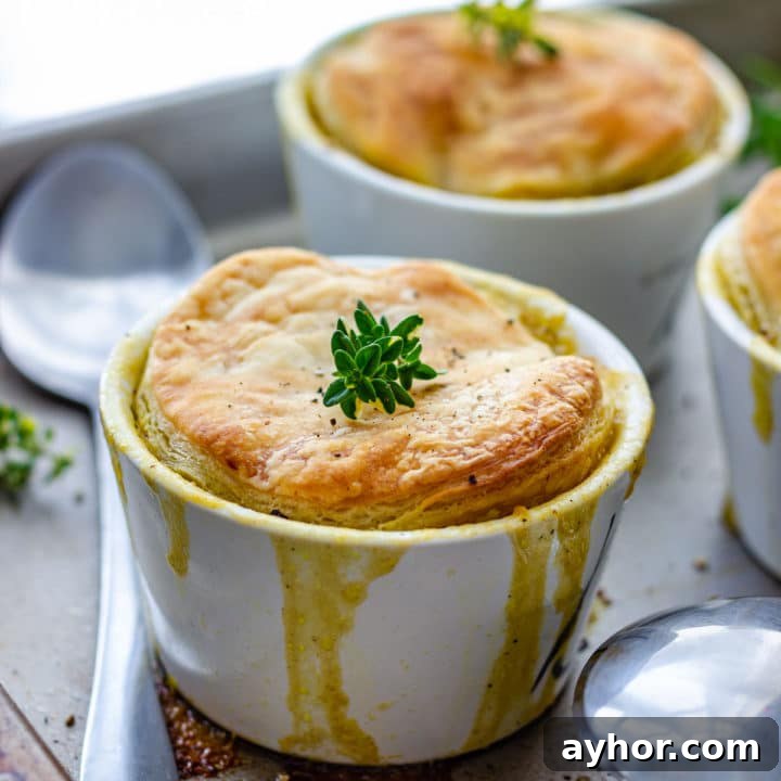 Individual turkey pot pies recipe