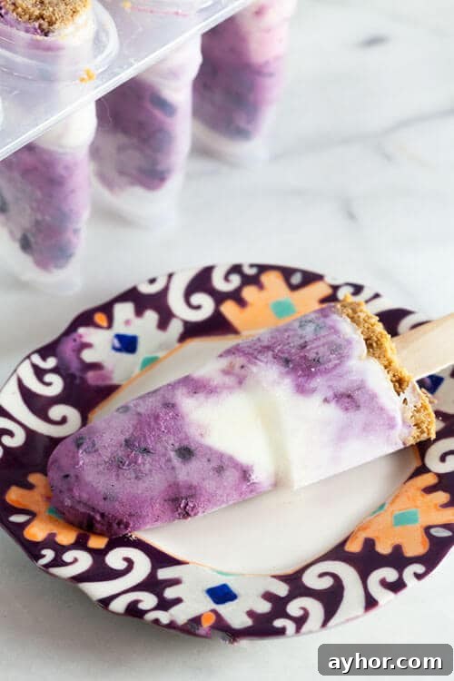 Top Recipes from 2015: Most-Loved Dishes and Classics 7 Blueberry Rhubarb Frozen Yogurt Breakfast Pops