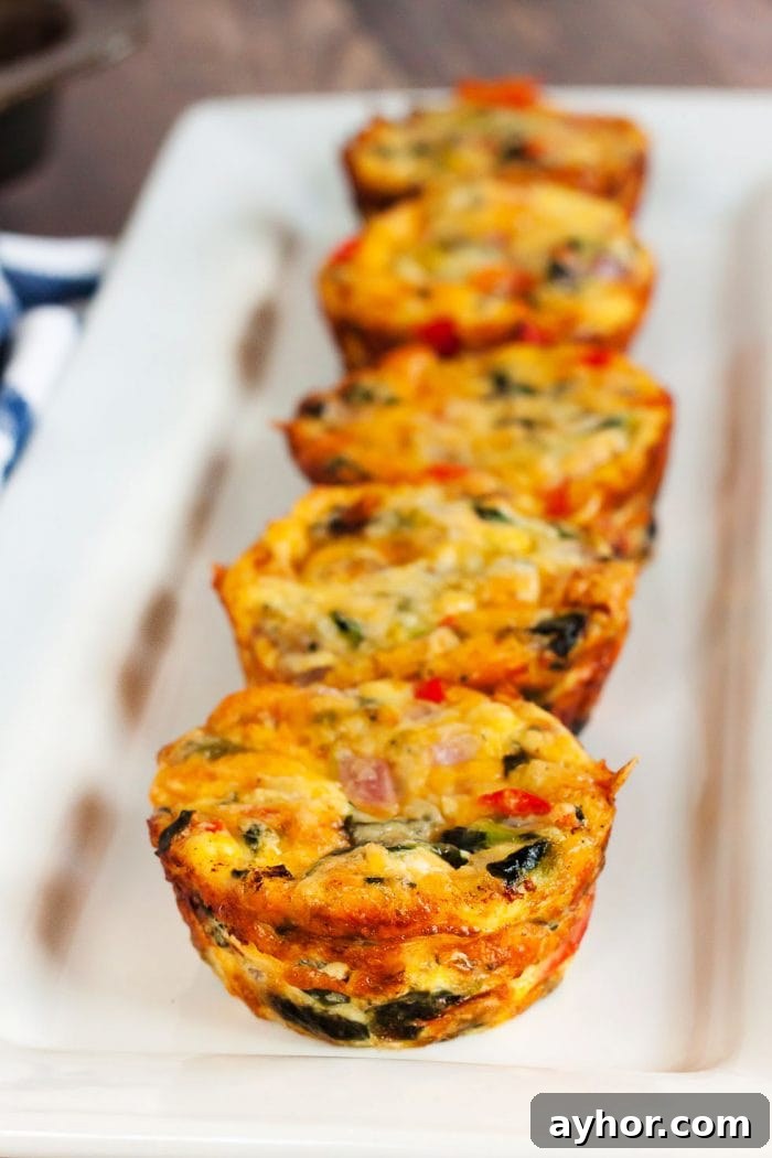 five keto mini quiches lined up on a white decorative plate