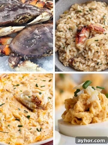 Four images: One with Dungeness crab, crab risotto, crab dip and crab deviled eggs.