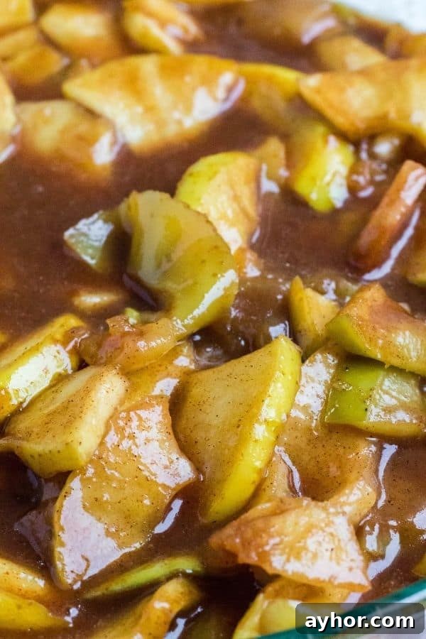 Instant Pot Cinnamon Apples: Quick Spiced Apple Dessert 5 img 10902 4