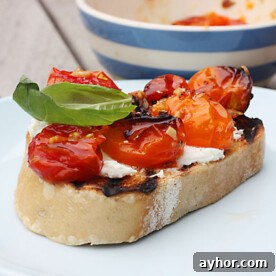 A piece of toasted bread with slow-roasted tomatoes and ricotta on top, on a white plate.