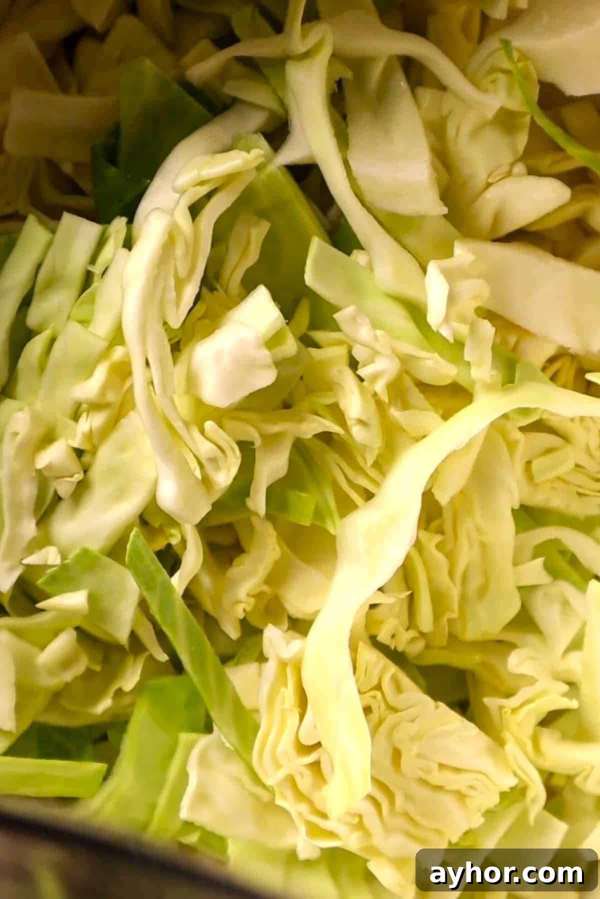 sliced cabbage and onions for soup