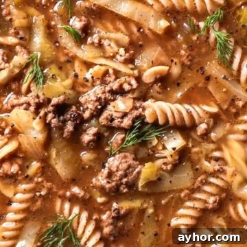 beef cabbage soup