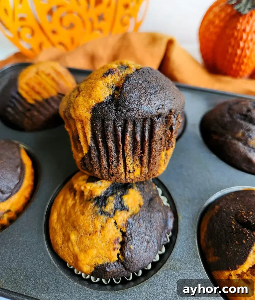chocolate pumpkin muffins