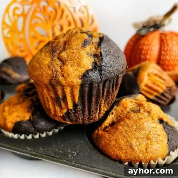chocolate pumpkin muffins