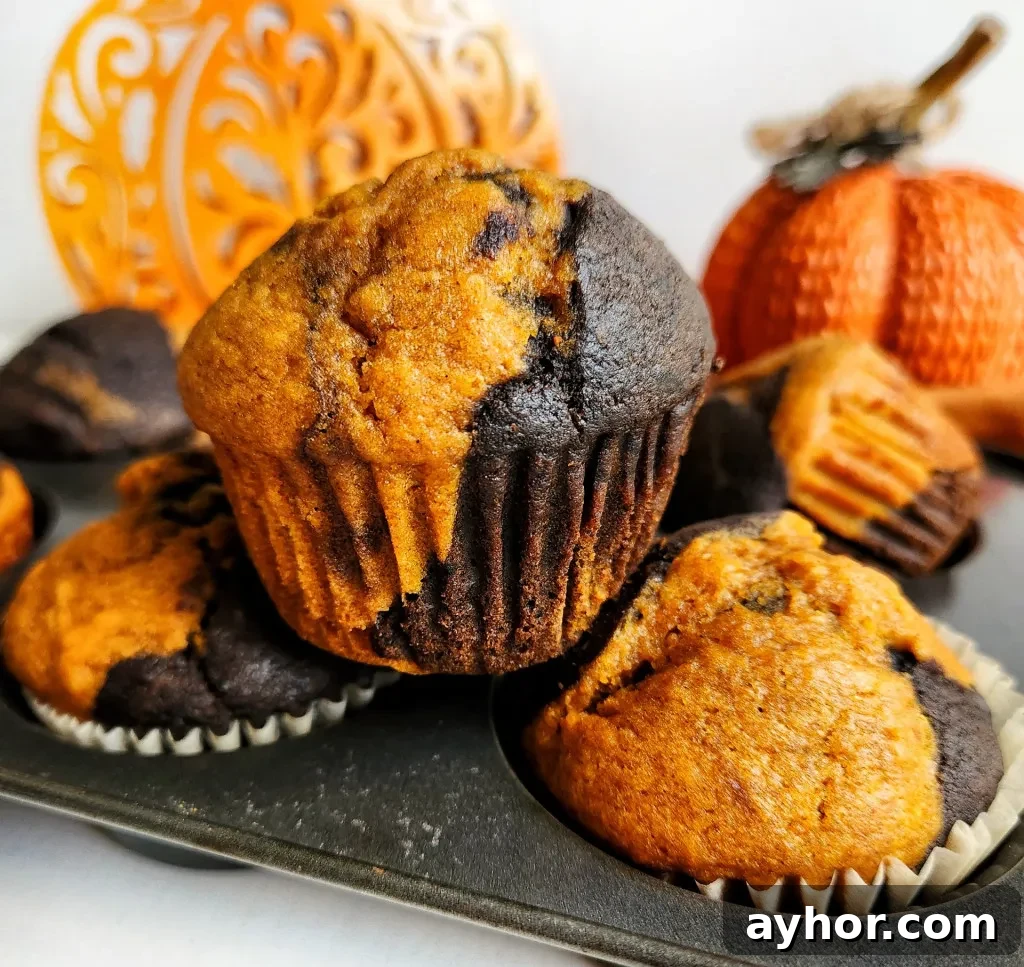 chocolate pumpkin muffins
