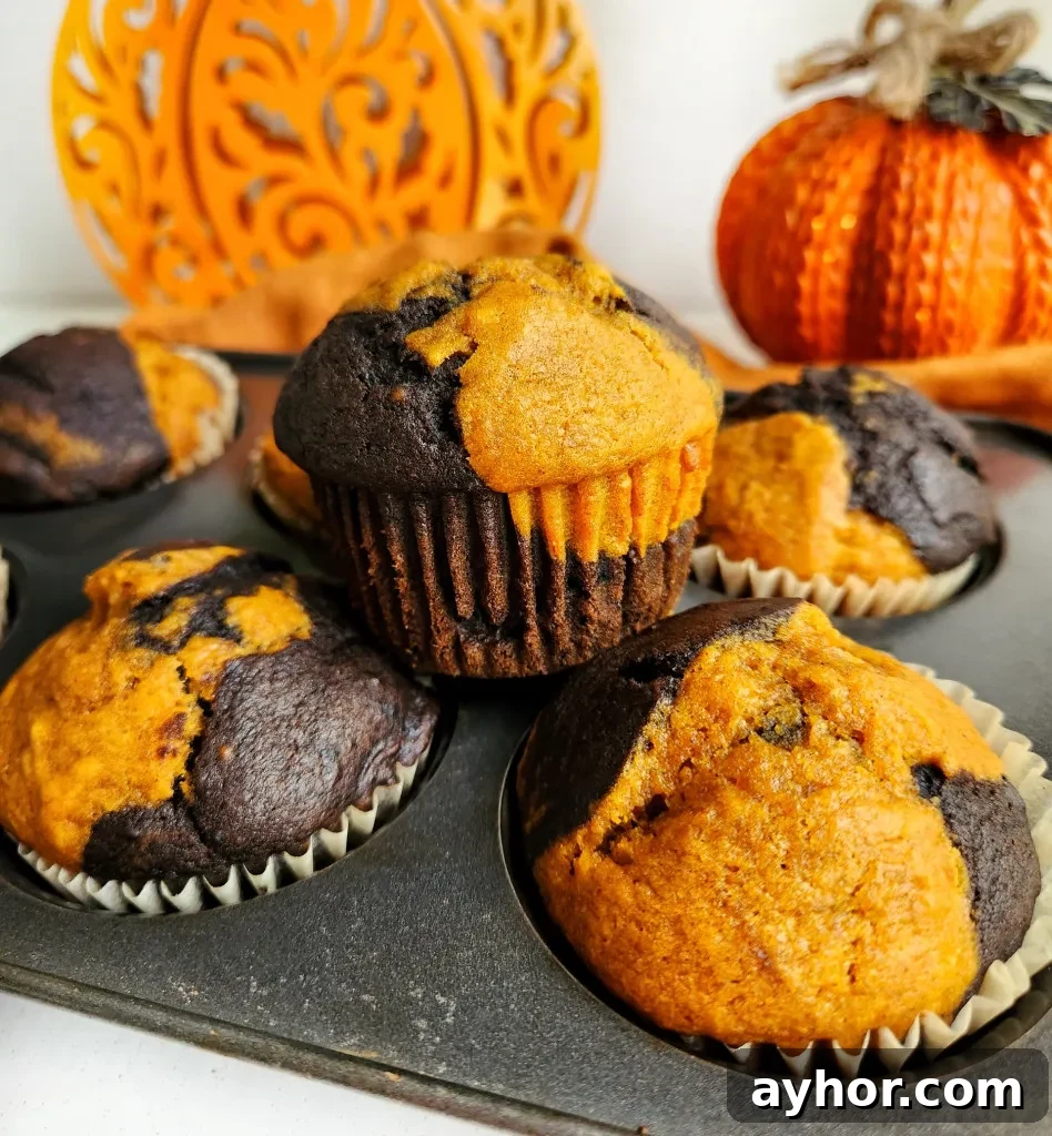 chocolate pumpkin muffins