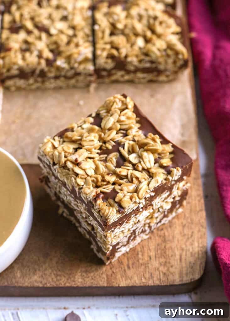 a stack of two oatmeal chocolate fudge bars 