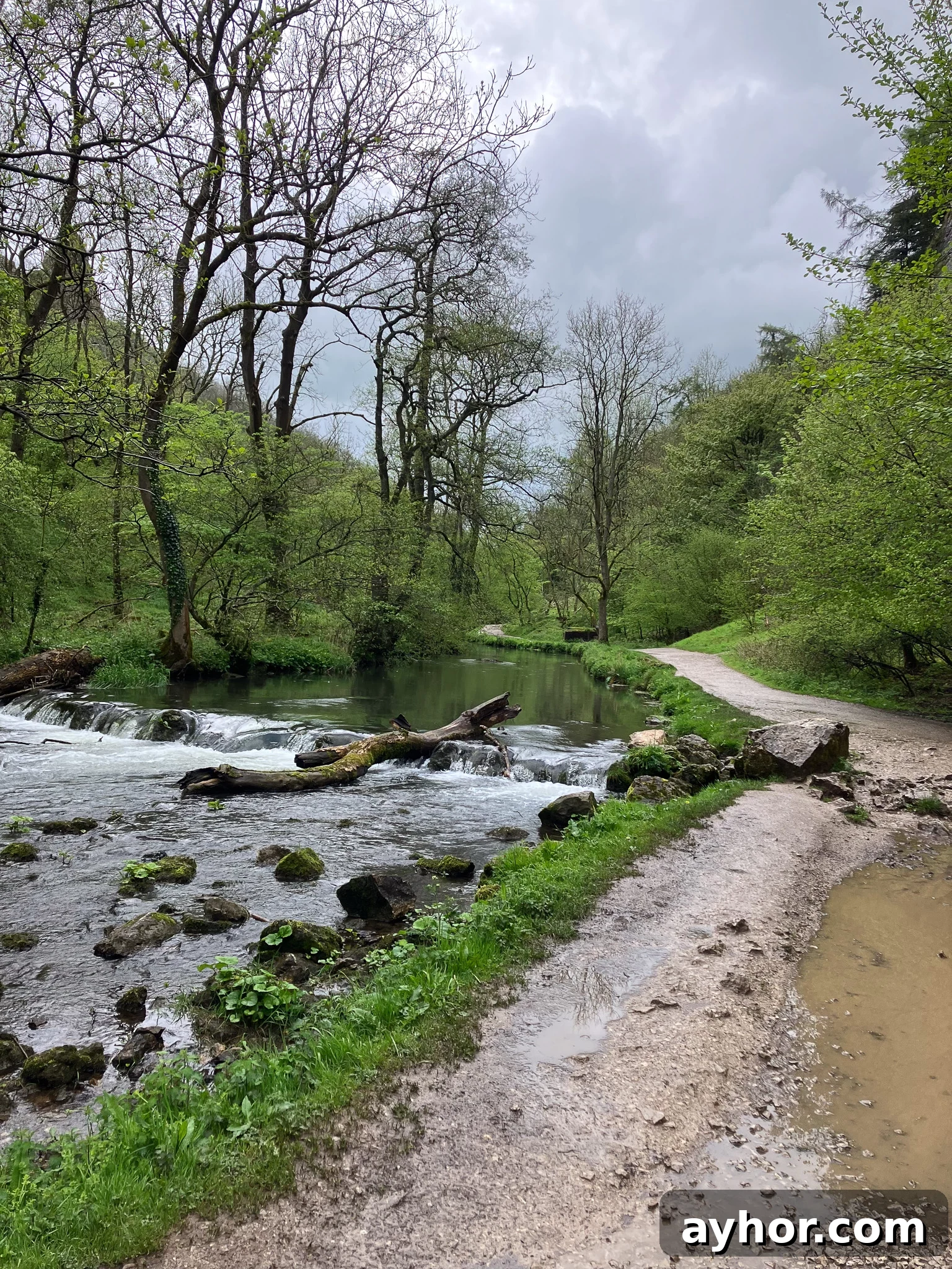 Week Four: Five Things We're Loving Right Now 3 A hiking trail.