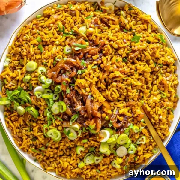 lentil and rice mujadara.
