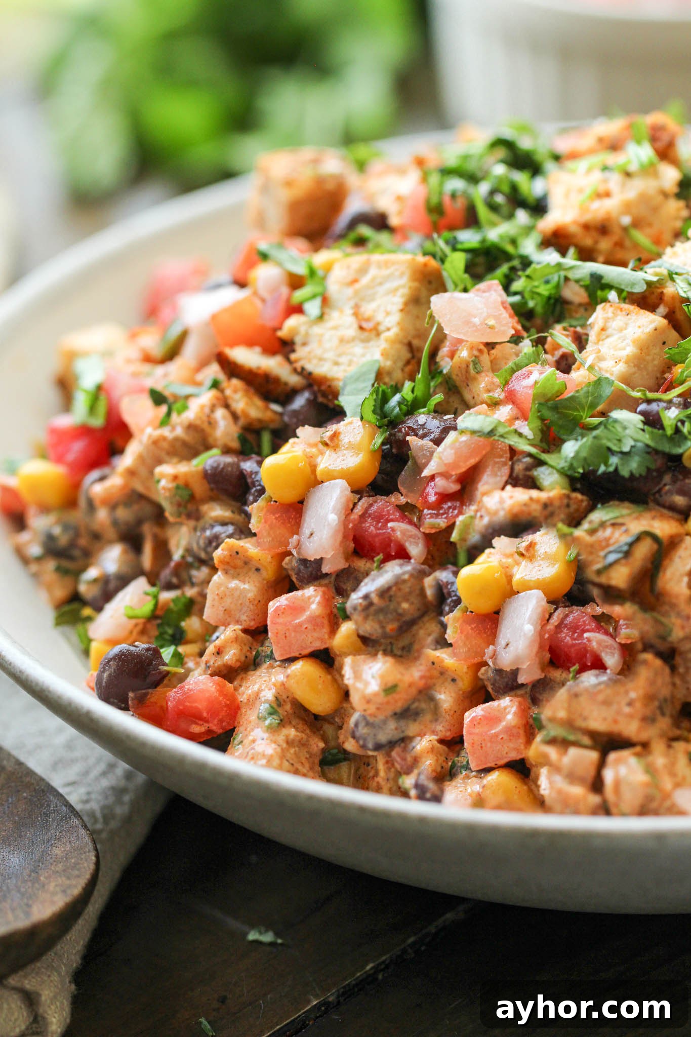 Southwest Chicken Salad (Dairy-Free Recipe with Zesty Lime) 4 Dairy-free Southwest Chicken Salad - An EASY cold lunch full of flavor and quick to make. Gluten-free, dairy-free, nut-free, with egg-free option. High protein with 28 grams of protein per serving!