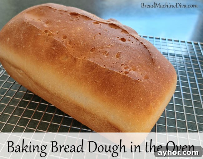 Oven Baking Bread Dough: Step-by-Step Guide for Perfect Loaves 2 How to make Bread Dough in the Oven