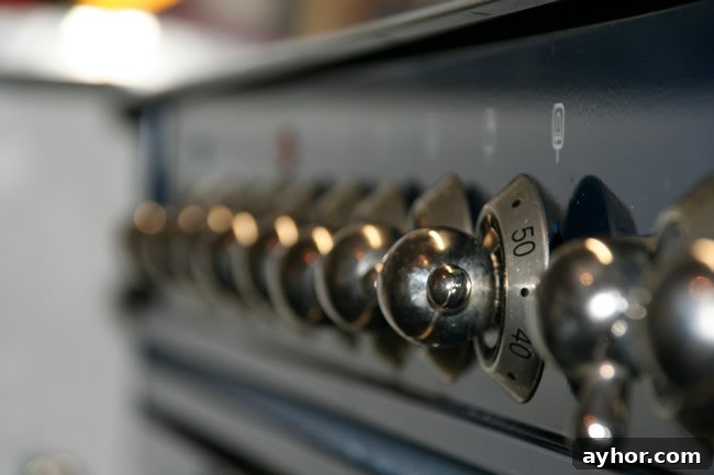 Oven Baking Bread Dough: Step-by-Step Guide for Perfect Loaves 3 Dealing with an Old Oven
