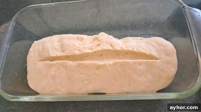 Oven Baking Bread Dough: Step-by-Step Guide for Perfect Loaves 5 Dough in Pan