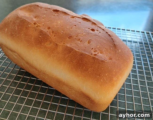 Oven Baking Bread Dough: Step-by-Step Guide for Perfect Loaves 6 Bread baked in pan