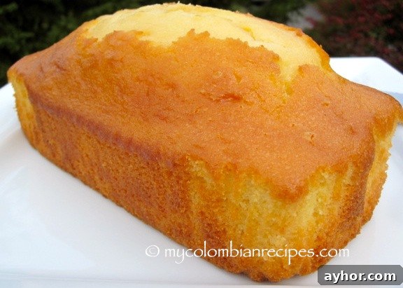 best colombian cakes |mycolombianrecipes.com