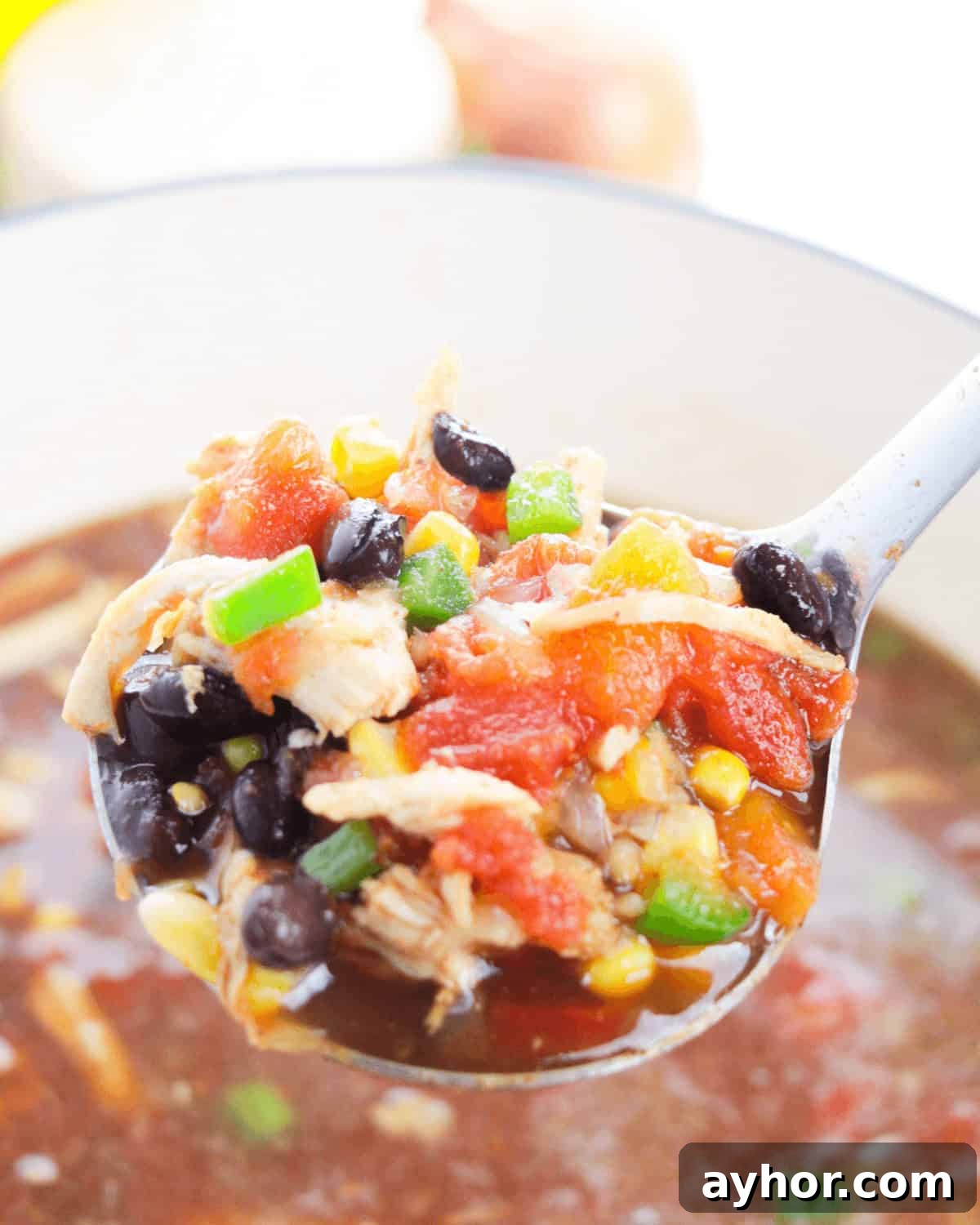 Rotisserie Chicken Tortilla Soup Recipe for Busy Weeknights 3 A spoonful of rotisserie chicken tortilla soup including beans, tomatoes and broth.