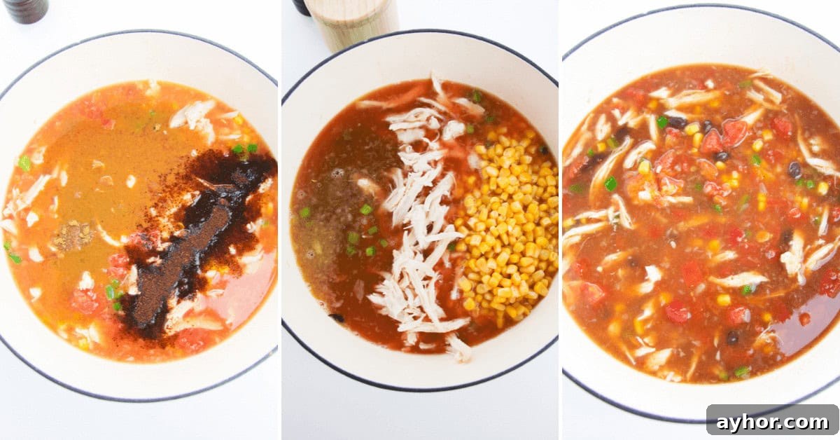 Rotisserie Chicken Tortilla Soup Recipe for Busy Weeknights 6 Step by step instructions for combining soup with other ingredients for the rotisserie chicken soup.