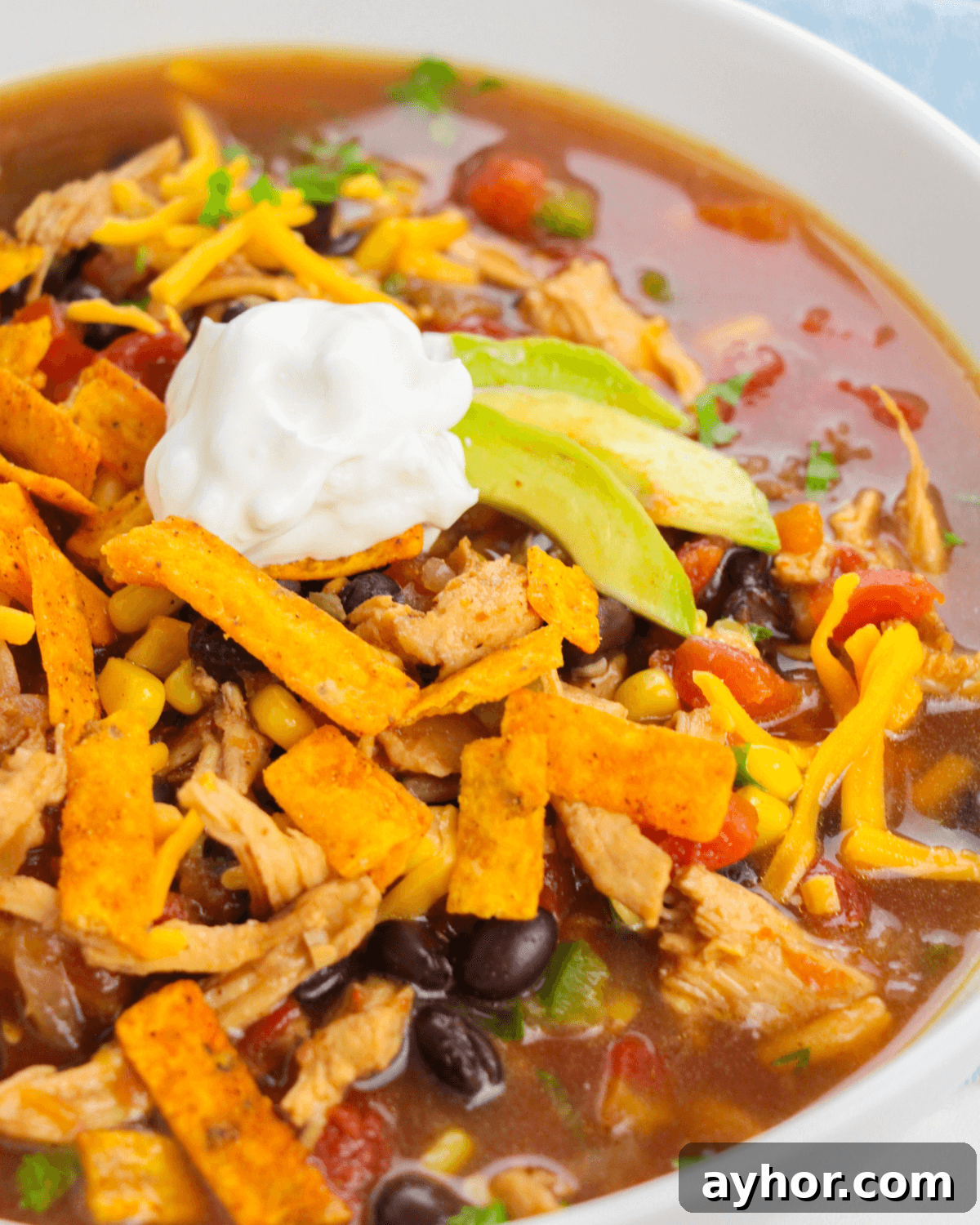 Rotisserie Chicken Tortilla Soup Recipe for Busy Weeknights 7 A close up of the rotisserie chicken tortilla soup.