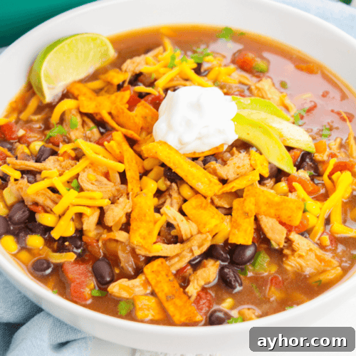Rotisserie Chicken Tortilla Soup Recipe for Busy Weeknights 8 A white bowl of rotisserie chicken tortilla soup.