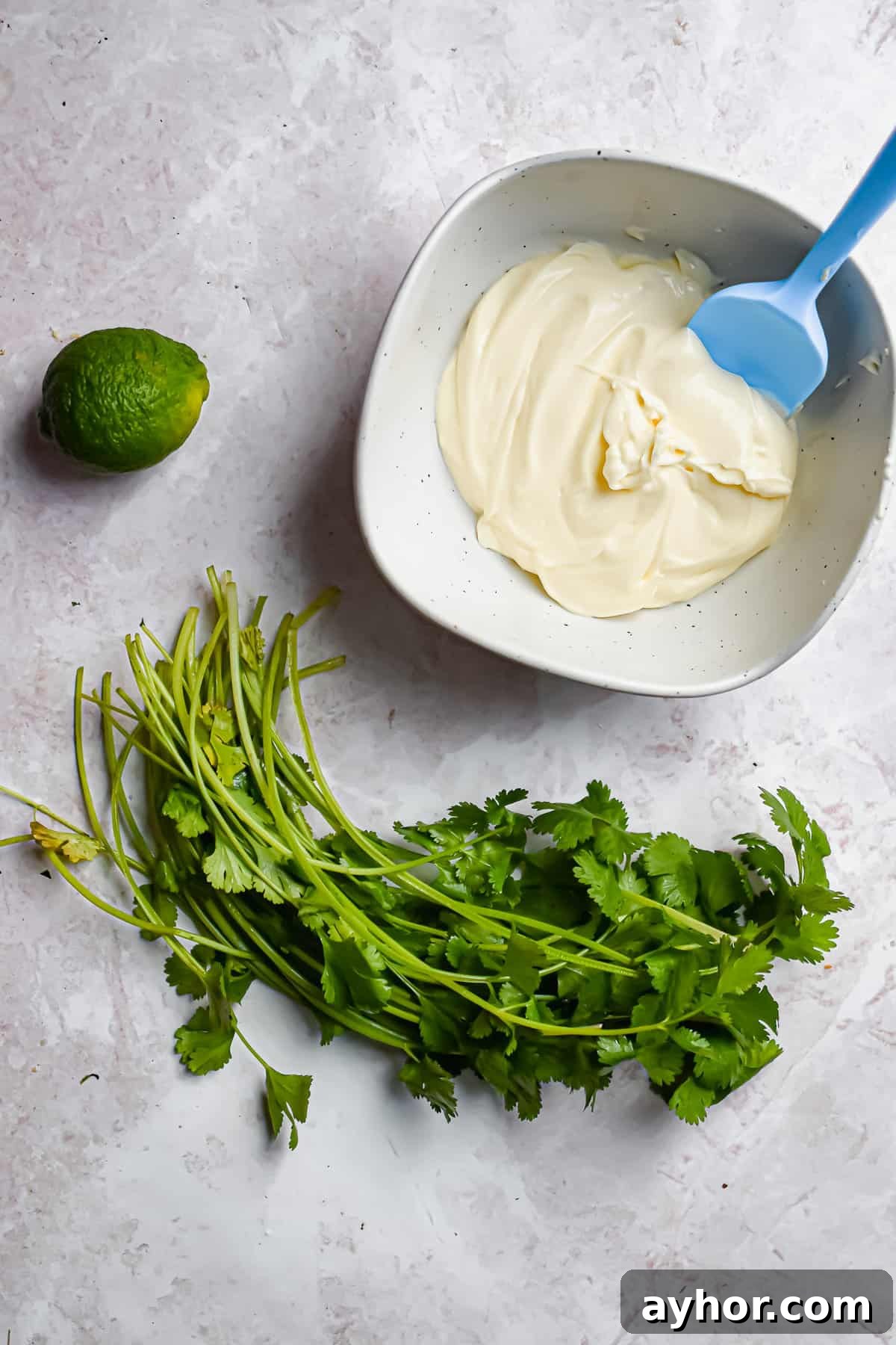 An overhead shot of the ingredients for lime aioli