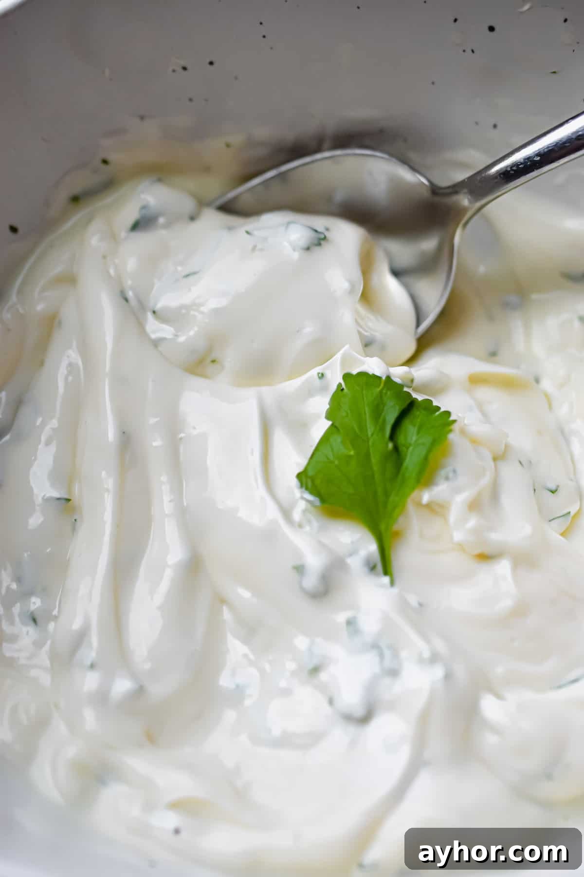 A close up of the cilantro lime aioli