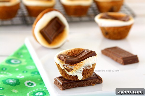 S’mores Chocolate Chip Cookie Cups