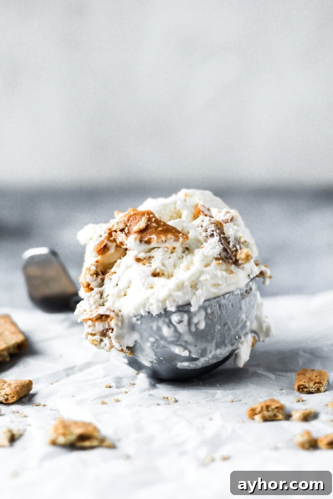 Cookie Monster Ice Cream Recipe: Fun Blue Cookie Dough Treat 11 caramel cheesecake ice cream in a scoop