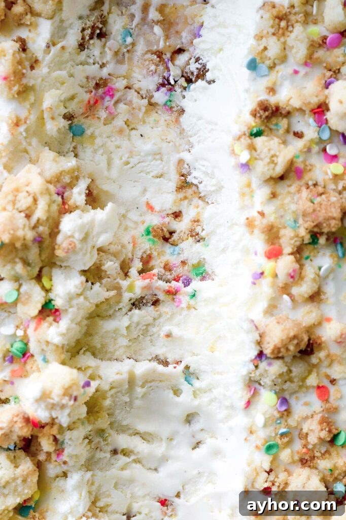 Cookie Monster Ice Cream Recipe: Fun Blue Cookie Dough Treat 8 Brown Butter Birthday Cake Ice Cream