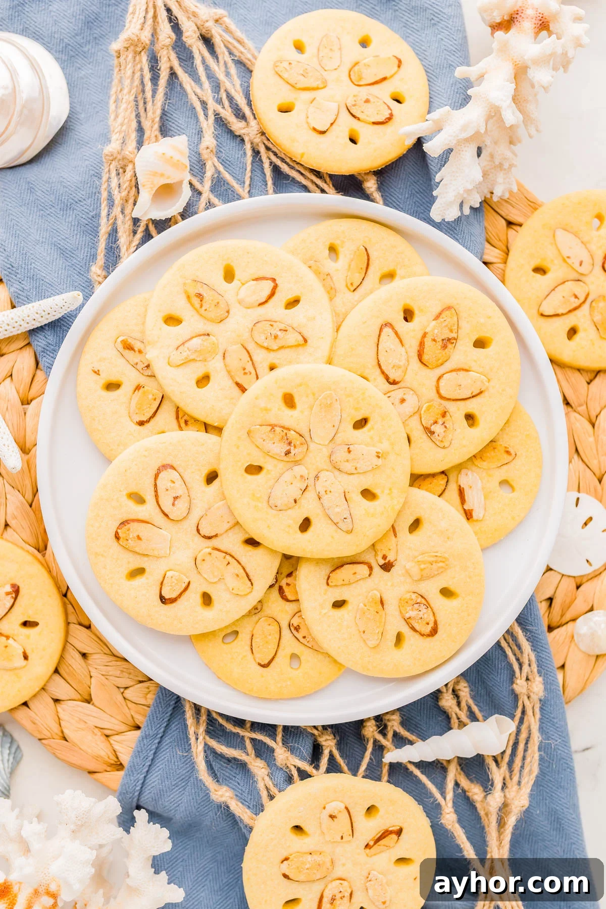 Sand Dollar Cookie Recipe: Crisp Shortbread Cookies Shaped Like Sand Dollars 2 A plate of round cookies decorated to look like sand dollars, arranged on a blue cloth with seashells and decorative coral nearby.