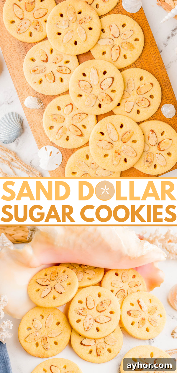 Sand Dollar Cookie Recipe: Crisp Shortbread Cookies Shaped Like Sand Dollars 8 Round sugar cookies decorated to resemble sand dollars are displayed on a wooden board and a light surface, with seashells and sand for decoration.