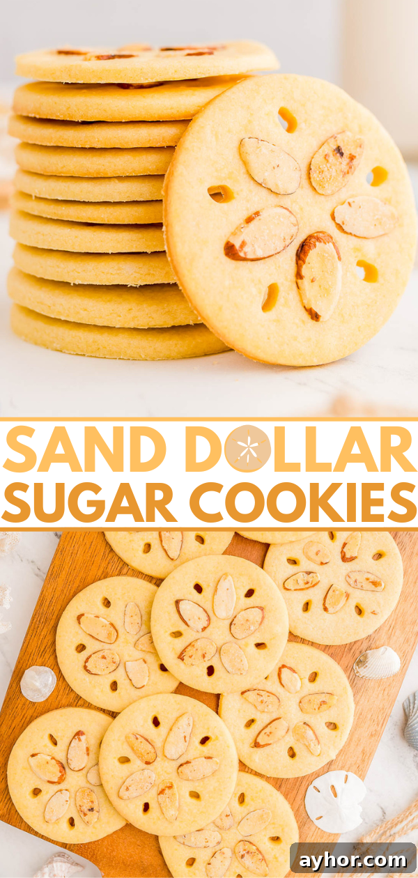 Sand Dollar Cookie Recipe: Crisp Shortbread Cookies Shaped Like Sand Dollars 9 A stack of round sugar cookies decorated to resemble sand dollars, with almond slivers as accents, displayed on a wooden board and a white surface.