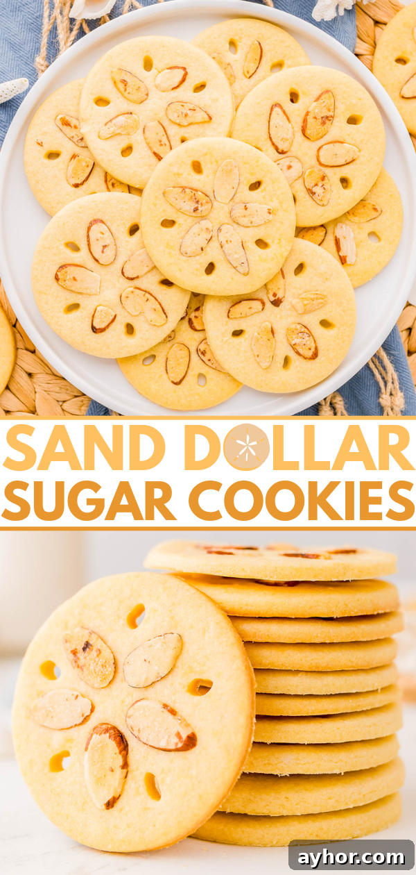 Sand Dollar Cookie Recipe: Crisp Shortbread Cookies Shaped Like Sand Dollars 10 A plate and stack of round sugar cookies decorated to resemble sand dollars with almond slivers and small cut-out shapes.