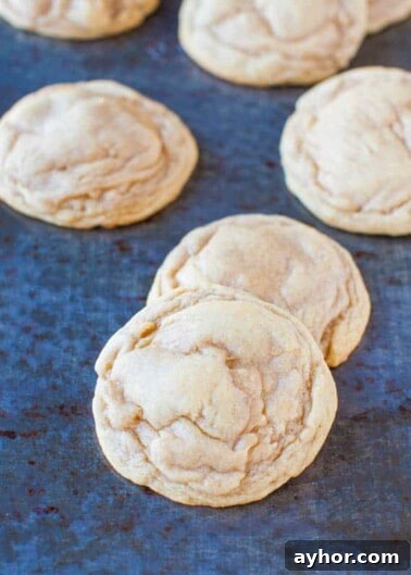 Sand Dollar Cookie Recipe: Crisp Shortbread Cookies Shaped Like Sand Dollars 15 Freshly baked cookies on a blue baking tray.