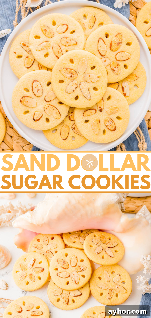 Sand Dollar Cookie Recipe: Crisp Shortbread Cookies Shaped Like Sand Dollars 17 Round sugar cookies decorated with almond slices arranged to resemble sand dollars, displayed on a plate and next to a seashell.