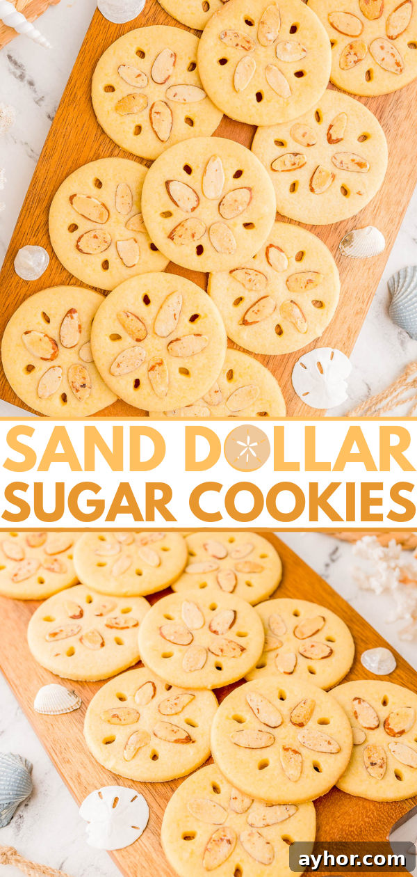Sand Dollar Cookie Recipe: Crisp Shortbread Cookies Shaped Like Sand Dollars 18 A wooden board displays sand dollar-shaped sugar cookies decorated with almond slivers, surrounded by small seashells.