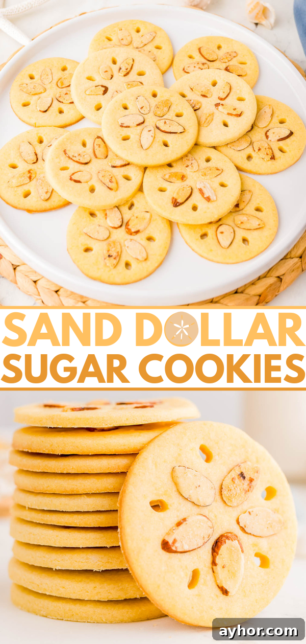Sand Dollar Cookie Recipe: Crisp Shortbread Cookies Shaped Like Sand Dollars 19 A plate of round sand dollar sugar cookies with almond slices on top, and a stack of similar cookies shown below.