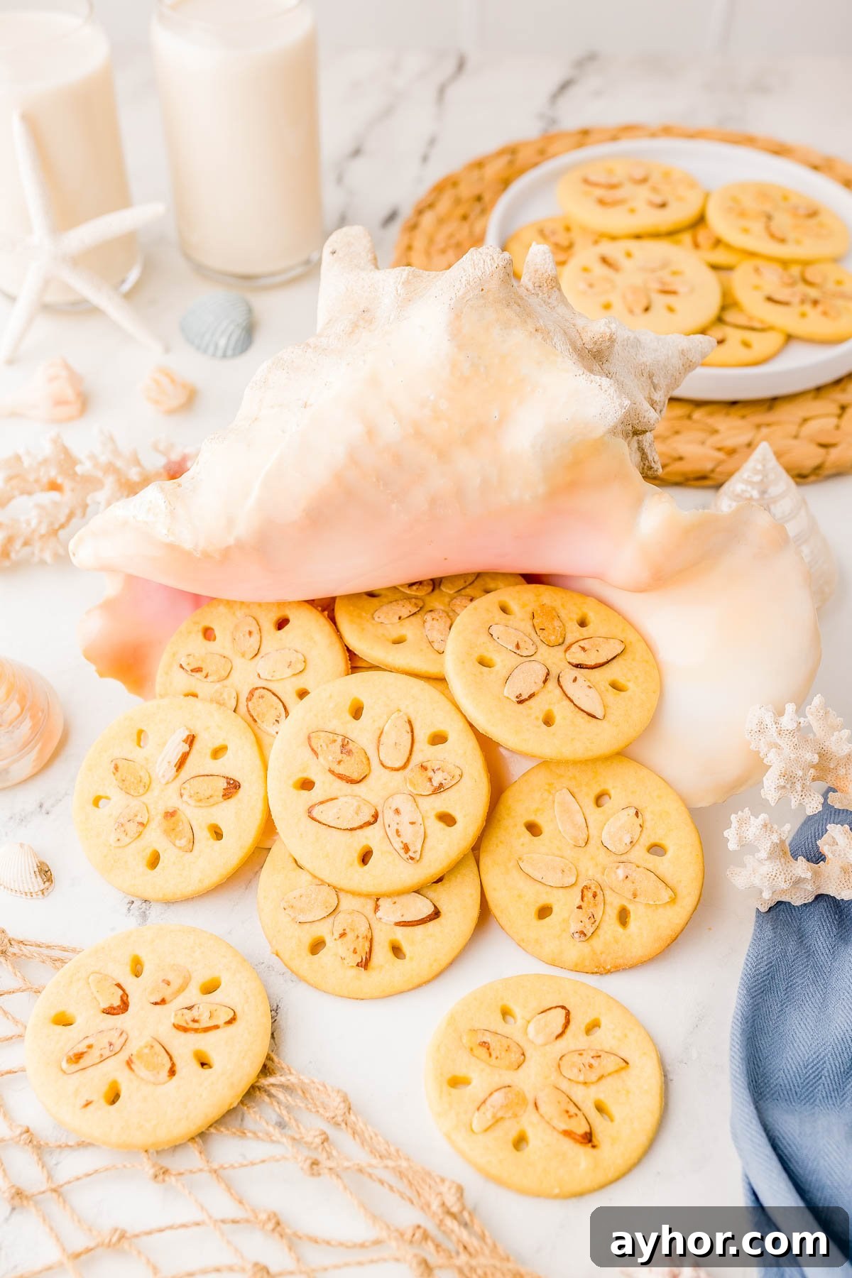 Sand Dollar Cookie Recipe: Crisp Shortbread Cookies Shaped Like Sand Dollars 4 Round sand dollar cookies are arranged spilling from a large seashell, with additional cookies on a plate nearby. Two glasses of milk and sea-themed decor are in the background.