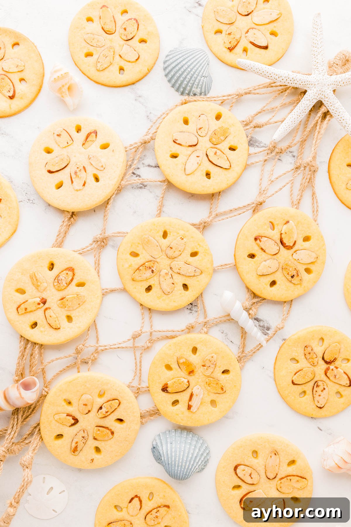 Sand Dollar Cookie Recipe: Crisp Shortbread Cookies Shaped Like Sand Dollars 6 Round cookies decorated to resemble sand dollars are arranged on a net with seashells and a starfish on a white marble surface.