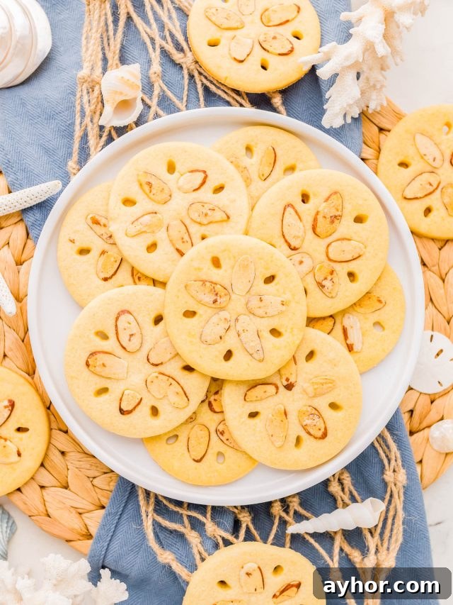 Sand Dollar Cookie Recipe: Crisp Shortbread Cookies Shaped Like Sand Dollars 7 A plate of round cookies decorated to look like sand dollars, arranged on a blue cloth with seashells and decorative coral nearby.