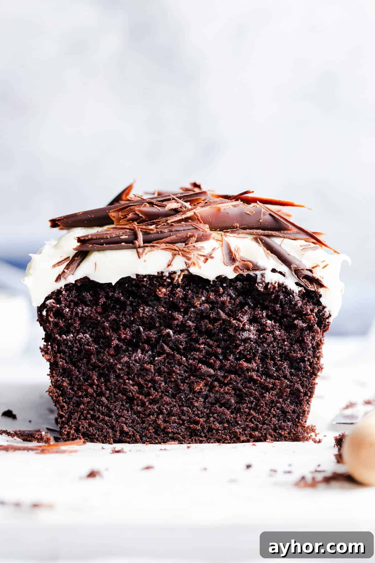 straight ahead close up photo of Guinness chocolate cake revealing its texture