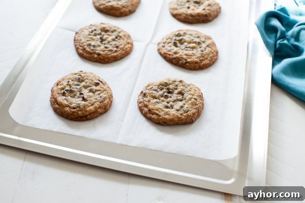 360 Bakeware Giveaway