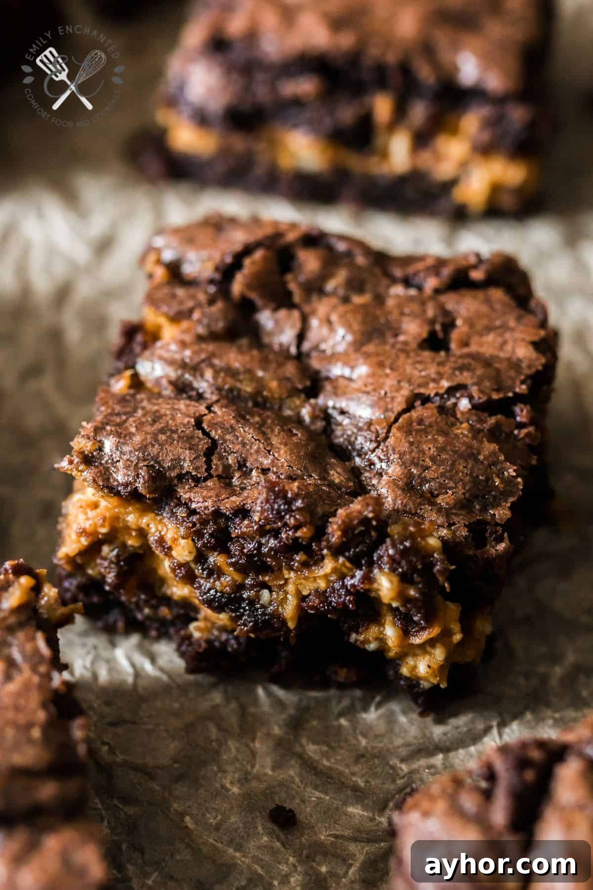 Chocolate Pumpkin Brownies