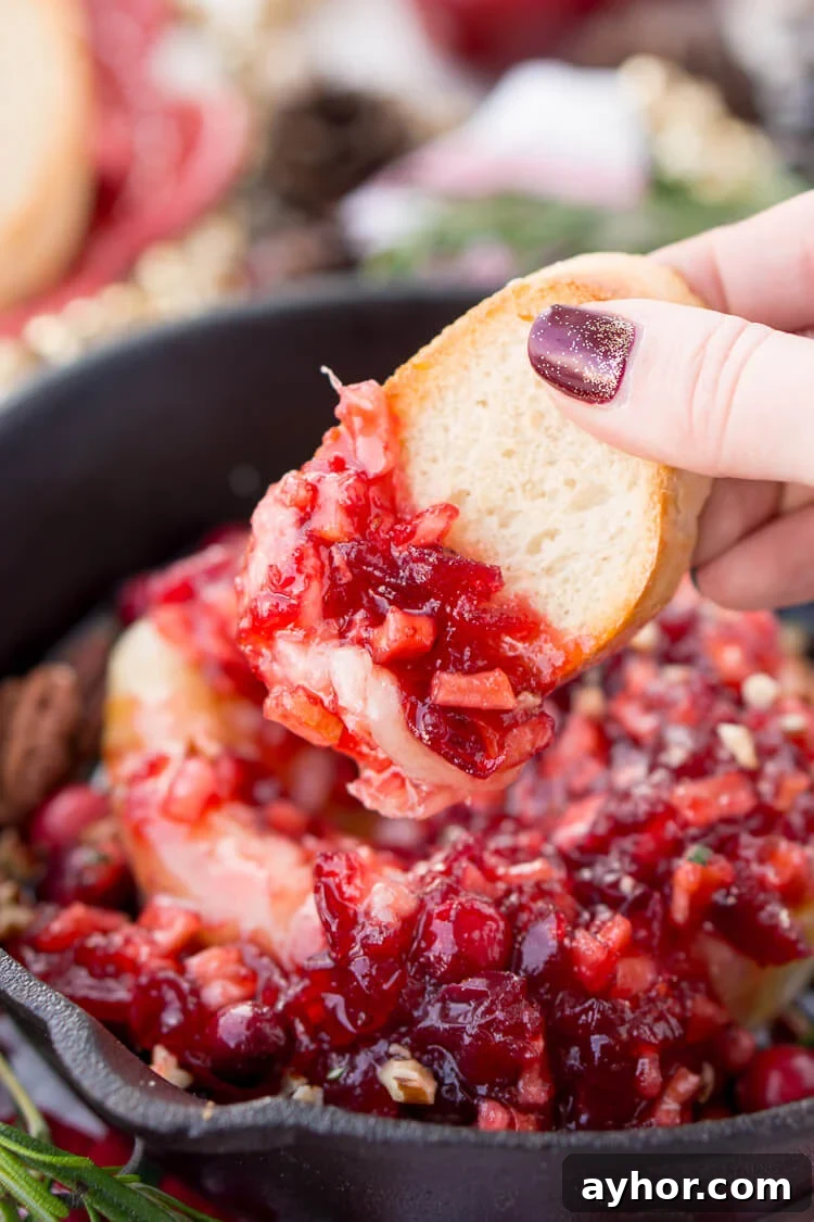 Apple Cranberry Baked Brie is a delicious cheese appetizer loaded with brown sugar, maple syrup, pecans, and an apple cranberry compote.