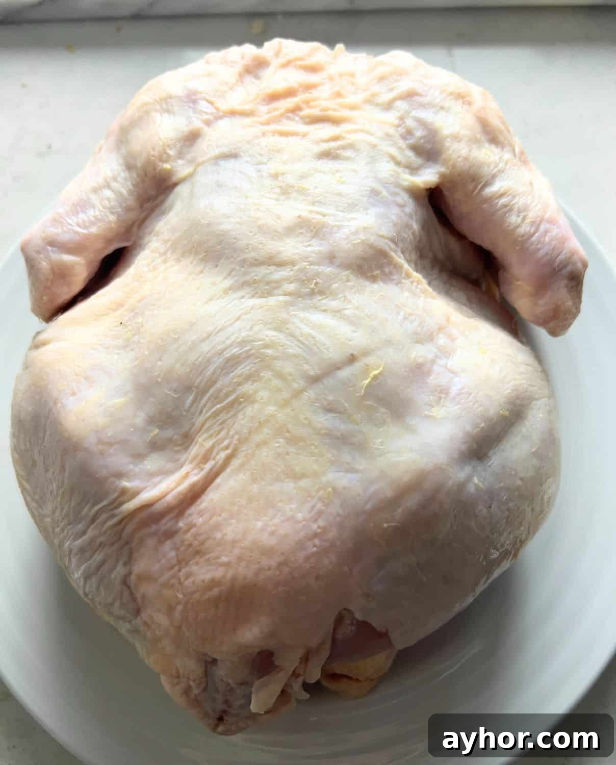 Crispy Whole Chicken in the Air Fryer: Step-by-Step Recipe 4 One patted dry whole chicken ready for air fryer.