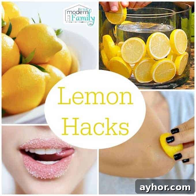 lemon hacks
