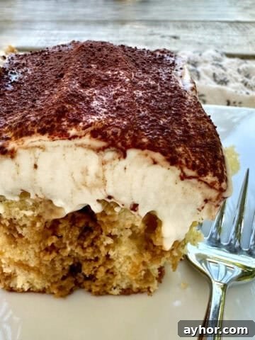 A serving of tiramisu cake on a plate with a fork.